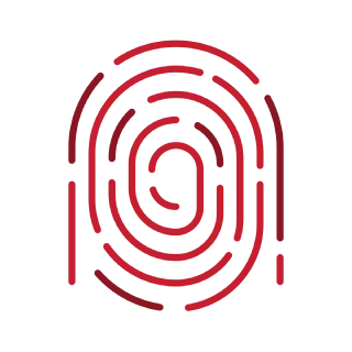 Website scanning
